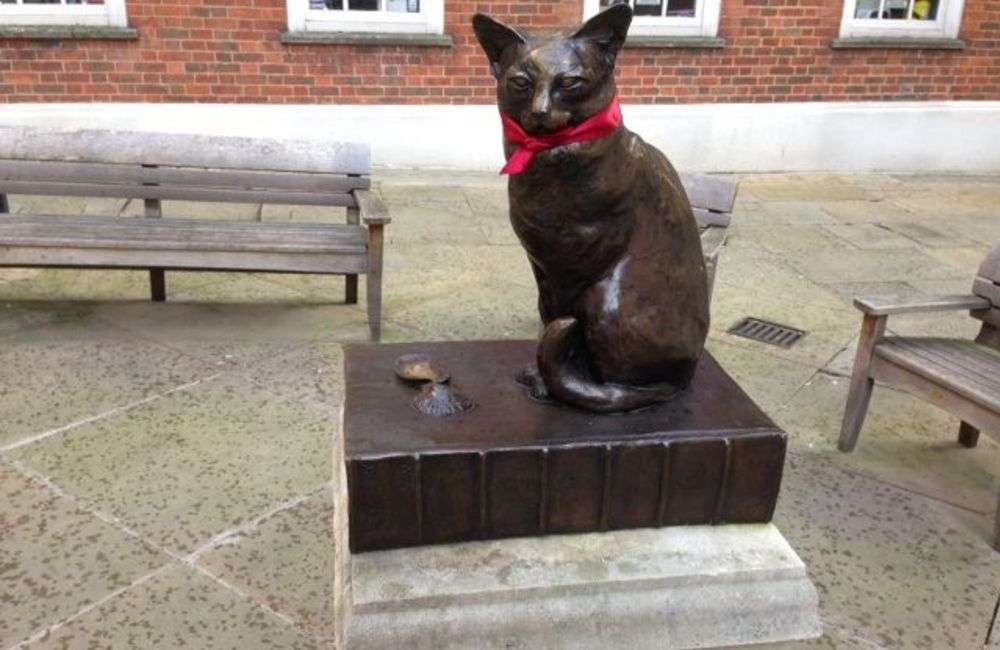 Dr. Johnson’s cat, Hodge