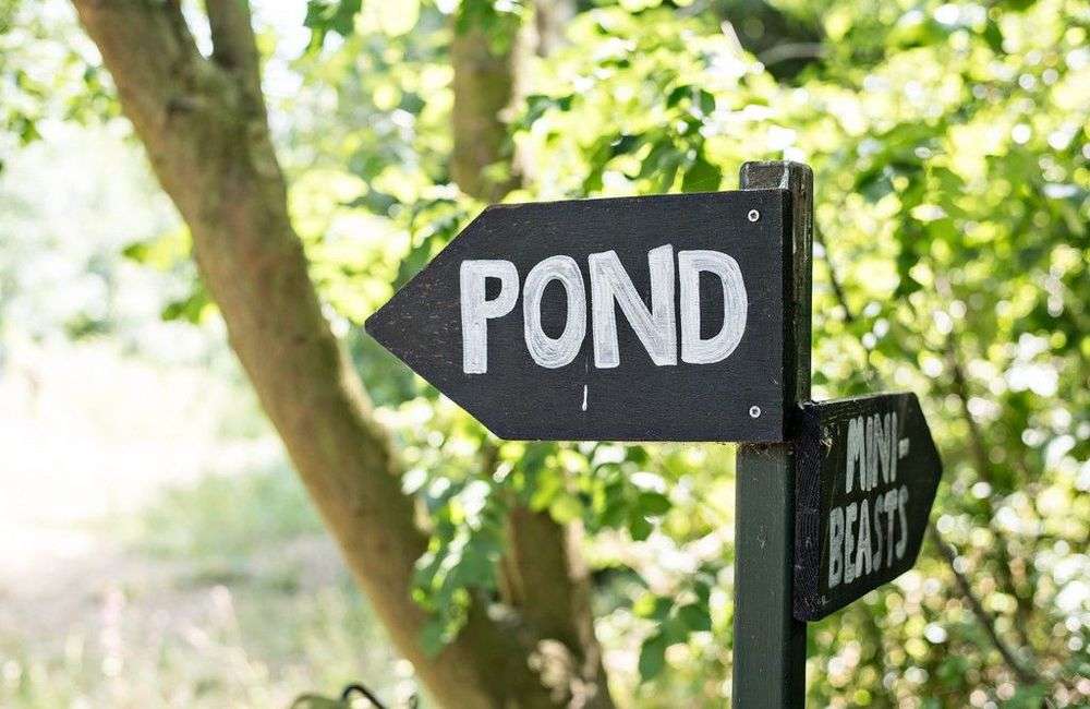 Camley Street Natural Park