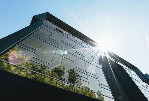 Workspace design trends part three: the future of the office and biophilic design